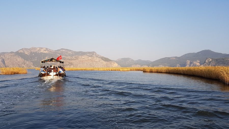 River boat heading to Iztuzu Beach through the Dalyan reed beds